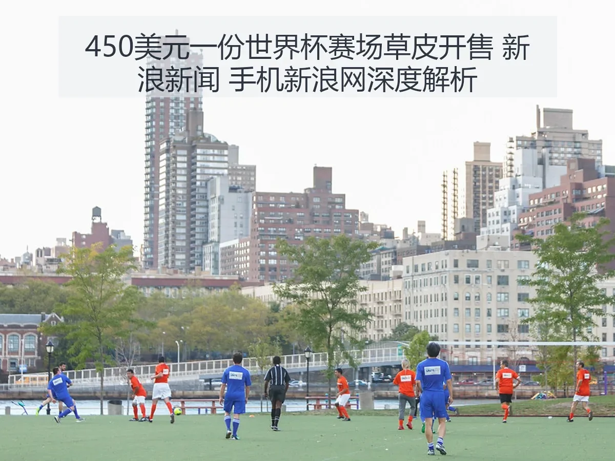 450美元一份世界杯赛场草皮开售 新浪新闻 手机新浪网深度解析