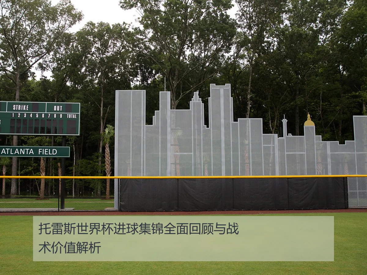 托雷斯世界杯进球集锦全面回顾与战术价值解析